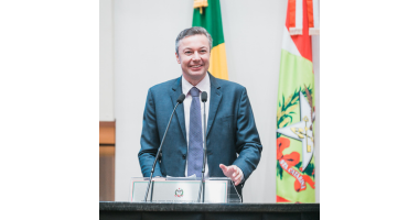 Deputado Estadual, Napoleão Bernardes 